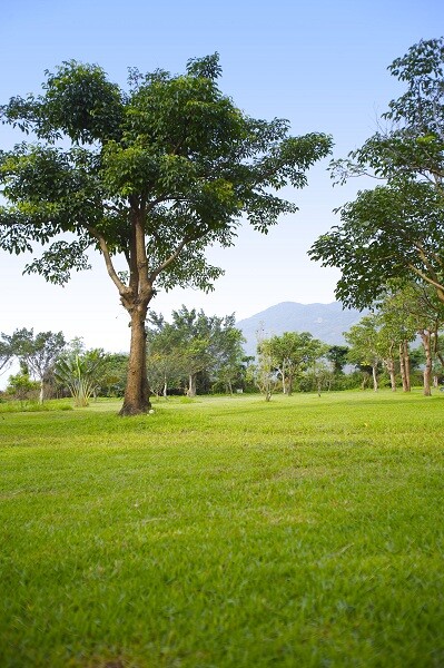 屏東:今年度社區植樹綠美化申請開跑。(圖/好房資料中心)