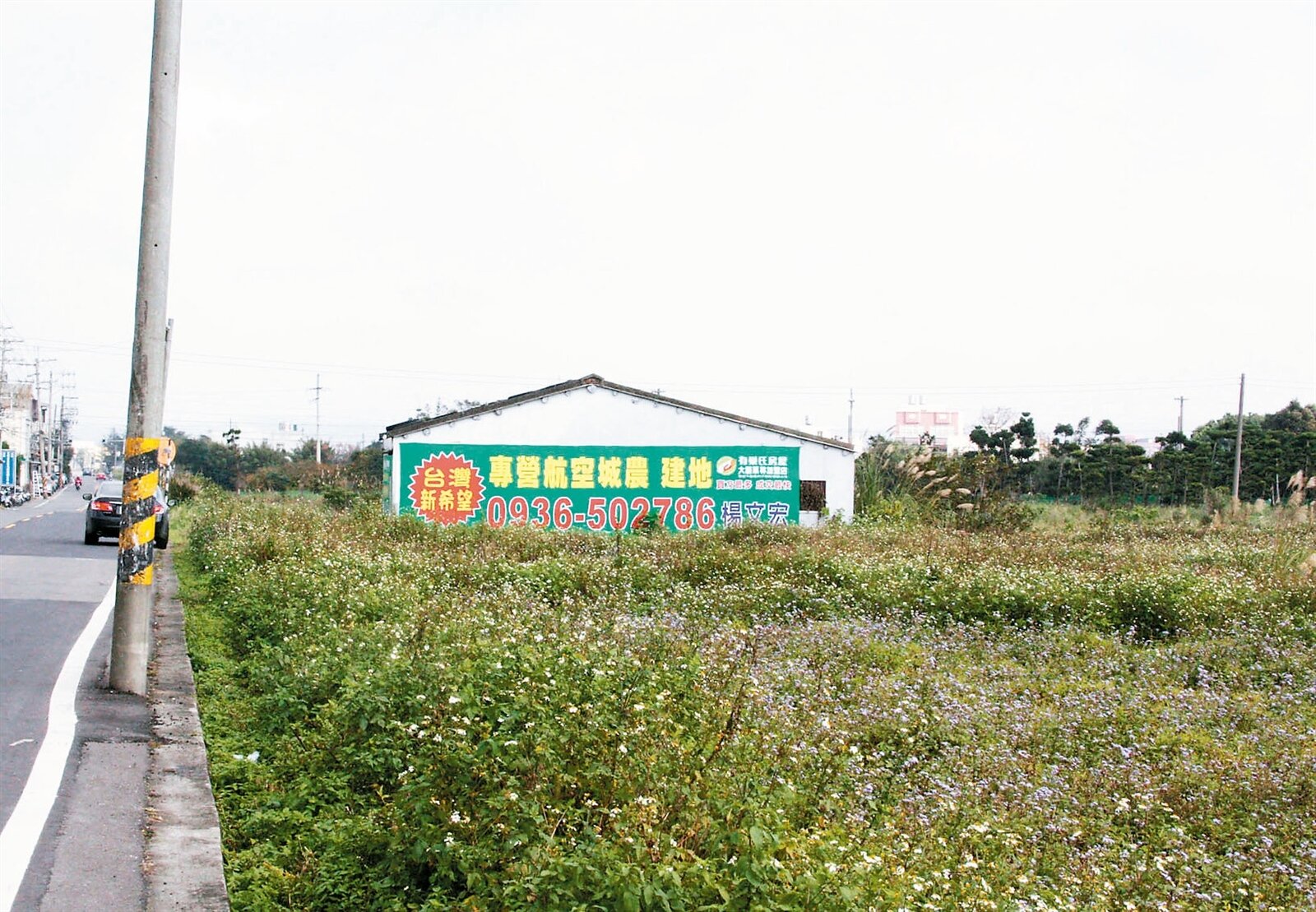 桃園航空城蛋白區的大園區農地，不時看到農地仲介買賣廣告。 記者曾增勳／攝影