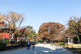 上野公園