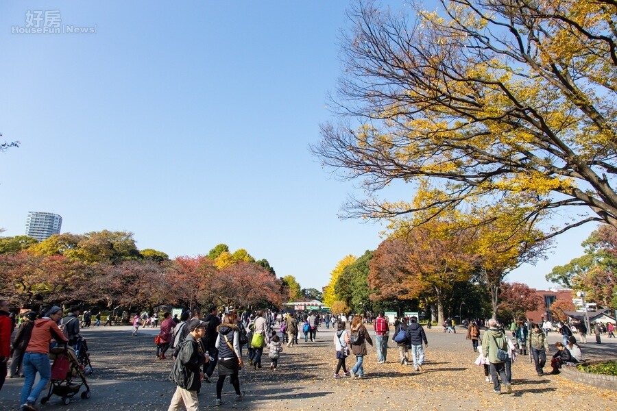 預約15東京紅葉 上野公園 圖輯p14 好房網news