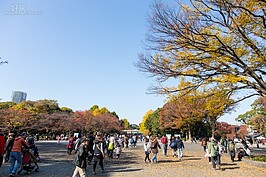 上野公園