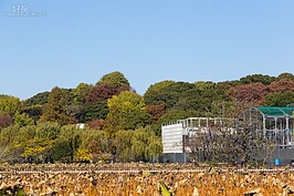 上野公園