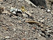 桃園廠區違法堆營建廢土僅罰6千？環保局出面說明了