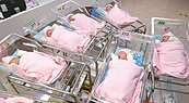 比想像更嚴峻！新竹縣「生不如死」　去年出生數首次跌破3千