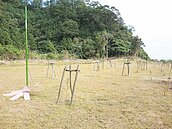 600萬元改建　礁溪蝴蝶公園養蚊子