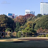 預約2015東京紅葉-新宿御苑