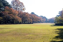  新宿御苑