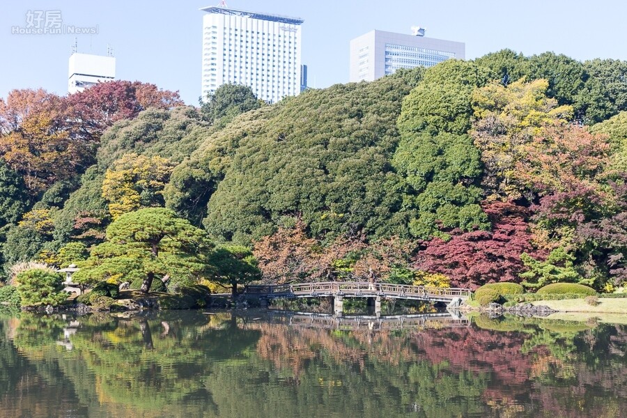 預約15東京紅葉 新宿御苑 新宿御苑 圖輯p11 好房網news