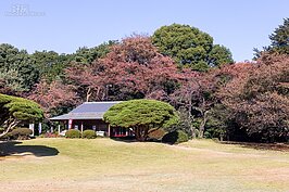  新宿御苑