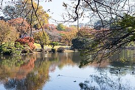  新宿御苑