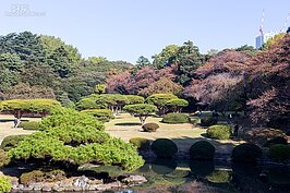  新宿御苑
