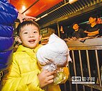 虐台3型禽流感　來自同批候鳥