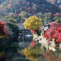 預約2015京都紅葉-絕美嵐山