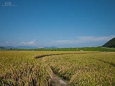 前往嵐山有很多途徑，一般觀光客最常使用的方式就是由JR龜岡站前往嵐山小火車龜岡站，然後搭乘小火車前往嵐山旅遊。龜岡站附近一大片稻田，搭配深藍色的天空，如同台東爆紅的金城武大道一樣美麗。