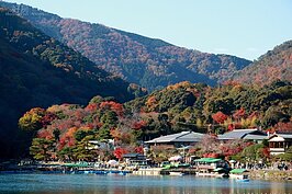 就是這個畫面，每年吸引無數台灣遊客前往拜訪。