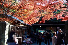 嵐山觀光小火車嵐山站一景。