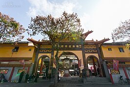 大多數的人都不知道，在這間寺裡面擁有超過一百零三年歷史的木造日式寺存在。一般寺廟門口為公獅與母獅子，在臨濟護國禪寺則是「高麗犬」，與之前介紹過的桃園神社一樣。山門的外觀則是當年主流的江戶時期風格。