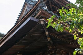 雖然臨濟護國禪寺是日式建築，不過實際上卻是屬於「中日混血」。也就是結合中國明朝與日式建築特色為一身的佛寺。這間寺院屋頂上所使用的屋瓦是純日式的黑瓦，十分的有特色。另外屋根上的鬼瓦除了有日本建築特色的鬼頭外，還有一個中文「鎮」字，用以鎮守該寺院。