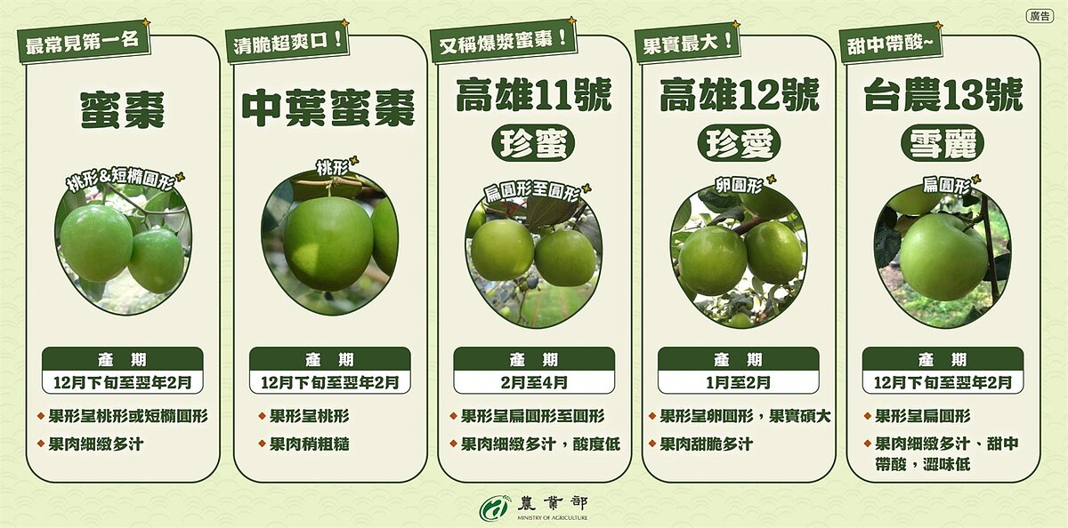 棗子品種全攻略。圖／取自農業部臉書粉專
