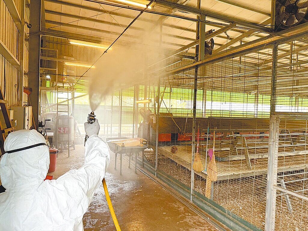 台中豐原豐康牧場爆發禽流感，中市府成立前進指揮所，已完成消毒29日將依法進行全場雞隻撲殺。圖／台中市府提供