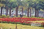 打造花園城市　走春來高雄