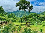 輔導4年　竹縣首家合法農牧地露營場誕生