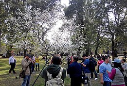 如果不會取景不要緊，單眼圍繞之處通常都是還不錯的景色。