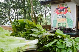 也幫助當地農民提供一個販售的空間，各種農產陳列在內供遊客購買。