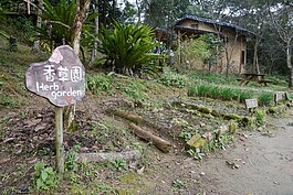 香草園種有多種植物，可供遊客了解欣賞。