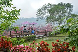 遊客在此處坐著聊天欣賞風景，彷彿置身世外桃源。