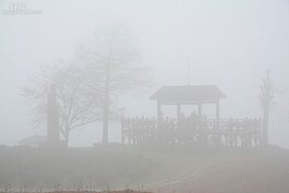 不過一煞娜的時間，山嵐已占滿了原本清晰的景色，讓人立即進入雲霧飄渺之間。