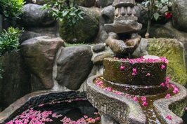 櫻花花瓣落在佛祖雕像下的石磨上，十分的具有意境。