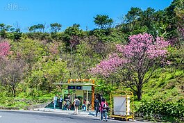 勸濟堂一帶在二戰時候是日軍所設立的戰俘營，如今重新規劃下，已經成為美麗的觀光景點。