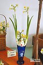 水仙花雕　展出百年技藝