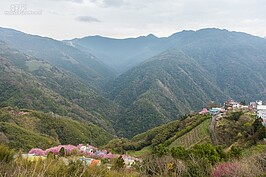 中巴陵一景。