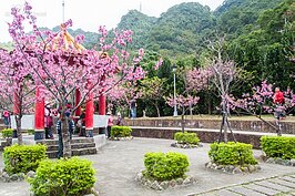 櫻花公園一景。