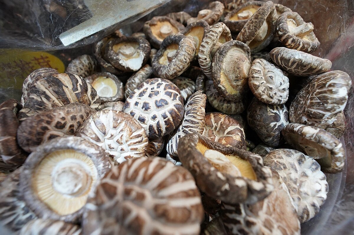 農糧署說明，中國大陸乾香菇菇傘表面略呈光滑、菌褶色澤較深呈黃褐色至淺褐色，部分為花菇，菇傘表面呈深裂紋。圖／農糧署提供