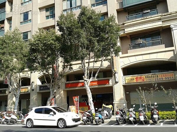 5平均走幾步路,就可以看到一顆綠樹,是林口區接到的一大特色。