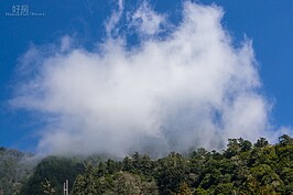 中橫山區一景。