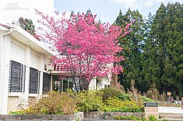 福壽山農場最早由國軍派遣百人部隊前來開墾，目的為了提供開闢中橫所需蔬果補給。數十年後當年的任務已經逐漸轉型，成為中橫遊憩的一個重要據點。