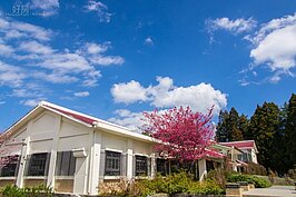 藍天白雲加上粉紅色的璀璨櫻花，這是要花時間上高山才能享受的到的美景。