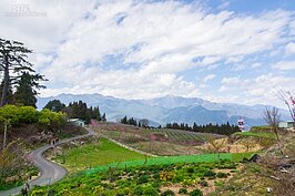 福壽山果園依著山勢而建，對面則是台灣第二高山雪山。