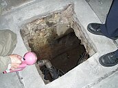 冬天也有蚊子飛？　小心「地下家蚊」竄入家中