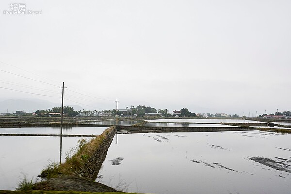 台灣過去以農立國,許多縣市仍有許多稻田產米,供國內人民使用。(好房網News記者 陳韋帆/攝影)