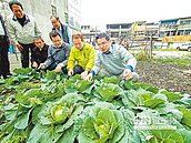 活化土地　宜市增闢市民農園