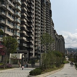 公宅淪為「炒短線」？　專家：不如直接給錢