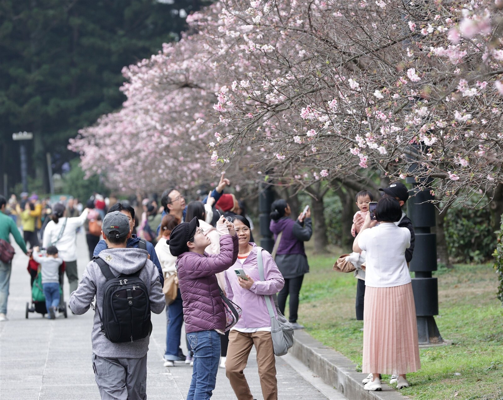 今起到明天各地仍為晴暖好天氣，高溫約30度。聯合報系資料照片 