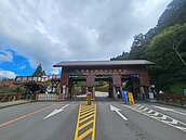 阿里山春節人潮翻倍成長…商家業績反腰斬　嘆國旅高住宿費殺雞取卵