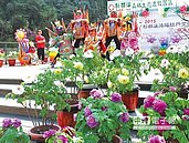 群芳爭豔　杉林溪牡丹花盛開