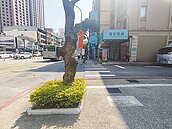 配合桃捷綠線通車　人行道將拓寬